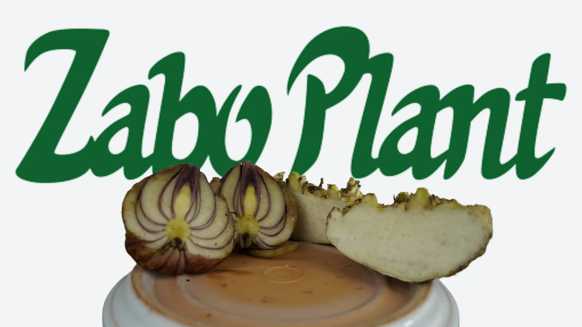 Bulbs or Tubers? Onions, Potatoes & Your Flower Bulbs